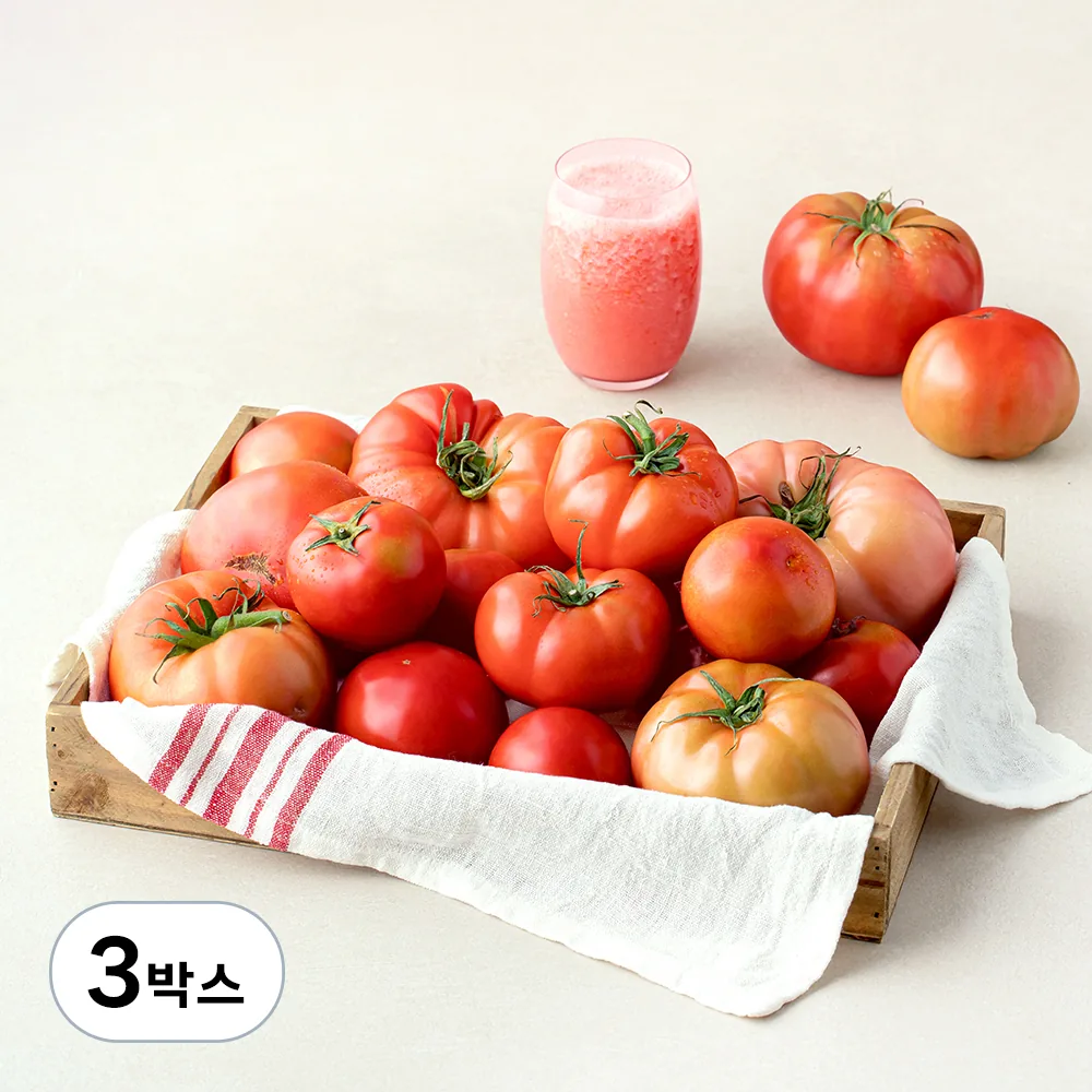 주스용 못난이 토마토 가격 추이 주스용 못난이 토마토 - 최저가 18,800원